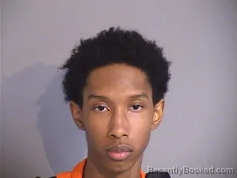 Mugshot of JOHN HAYNES