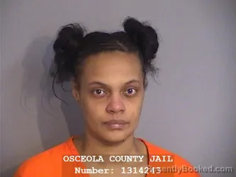 Mugshot of ASHLEY RENEE STEEL