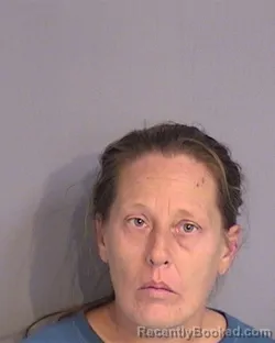 Mugshot of HEATHER JO HUGHES