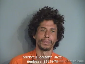 Mugshot of NEIL WAGNER ARCE