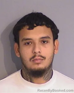 Mugshot of JALIL PELLICIER-ROBLES