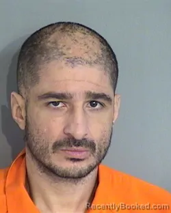 Mugshot of JONATHAN SEPULVEDA-SANCHEZ