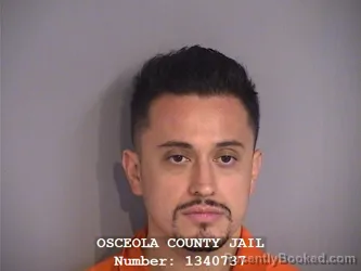 Mugshot of JOSE FABIO ROJAS