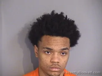 Mugshot of JALIK REGINALD DRIVER