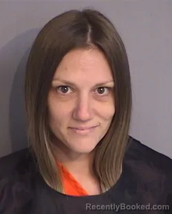 Mugshot of JESSICA LYNN MEADS