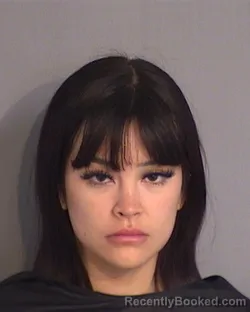 Mugshot of HANNAH ELIZABETH BICKEL