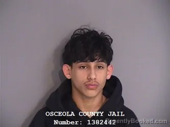 Mugshot of DIEGO ALEJANDRO SANCHEZ-JARABA