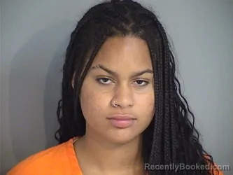Mugshot of VIVIAN ESTHER REYES-PEREZ booked in Osceola County, Florida on June 17, 2026