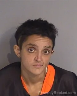 Mugshot of HANNAH GABRIELLE LIOTTA booked in Osceola County, Florida on April 30, 2026