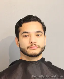 Mugshot of LUIS ERNESTO RAMOS-DIAZ