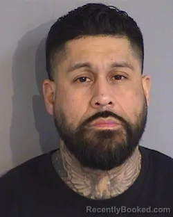 Mugshot of ANDERS ALBERTO MOLINA