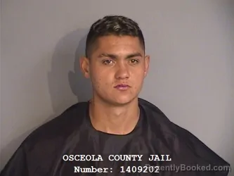 Mugshot of NAREN SNEIDER GARCIA-OSPINA