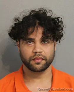 Mugshot of MANUEL ALEJANDRO MEDINA-MELENDEZ
