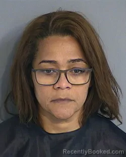 Mugshot of ELAINE ANDREINA CEBALLOS-AYBAR