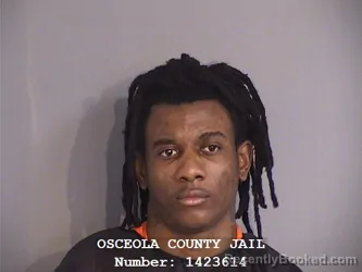 Mugshot of SCHINAISON RAPHAEL