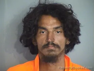 Mugshot of JOHNNY GERMAN PUJOL