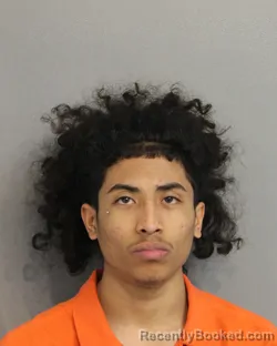 Booking photo from Osceola County, Florida