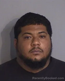 Mugshot of FRANCISCO LUIS VILLEGAS-FIGUEROA