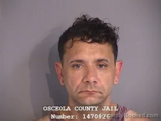 Mugshot of PATRICK WILLIAM APPLEGATE