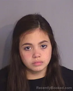 Mugshot of ANGELINA JOSE RIVERO-PENA booked in Osceola County, Florida on April 30, 2026