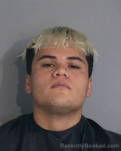 Mugshot of CESAR DAMIAN LERMA-URREA