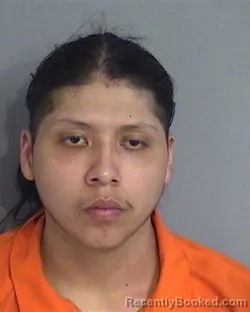 Mugshot of JOHN ANTHONY CHAPULIN