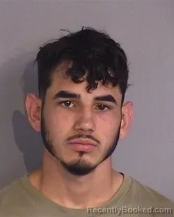 Mugshot of ALEJANDRO FABIO CORZO-ALMEIDA