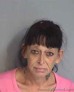 Mugshot of BILLIEJO DOANE