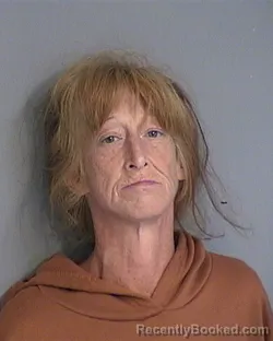 Mugshot of SOMER M MONGEON