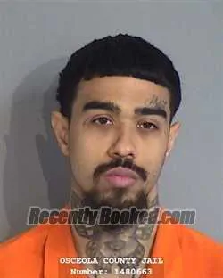 Booking photo from Osceola County, Florida