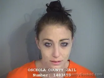 Mugshot of SARAH ELIZABETH OLSON