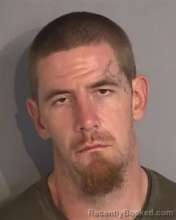 Mugshot of SHANNON LYNN NOEL