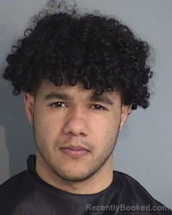 Mugshot of ITALO SATLER-FREITAS