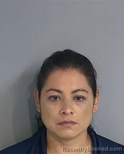 Mugshot of CLAUDIA VERONICA MAYORGA-DELGADILLO booked in Osceola County, Florida on June 21, 2026