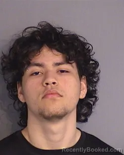 Mugshot of DEREK GABRIEL VELEZ-PERALES