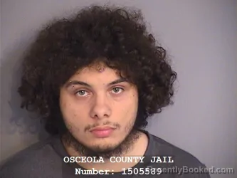 Mugshot of DENNIS CHRISTOPHER TURNER