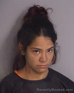 Mugshot of Aleyshia Ivelisse Vendrell-Rosario booked in Osceola County, Florida on August 4, 2026