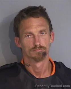 Mugshot of TRAVIS WAYNE HALL