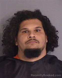 Mugshot of AMJAD MAJED DAJANI