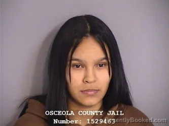 Mugshot of XIOLIMAR W GAMEZ-AMARO