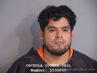 Mugshot of FERNANDO GUZMAN-ROMERO