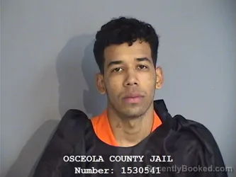 Mugshot of YORFRAN JHOAN RENGIFO-ALFONZO