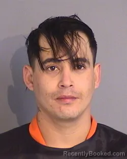 Booking photo from Osceola County, Florida