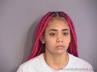 Mugshot of ALANIS MICHELLE PINTO-SANCHEZ