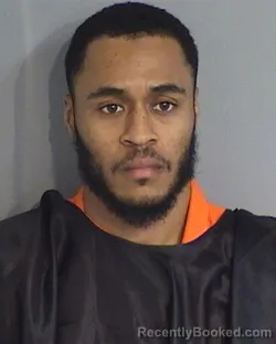 Booking photo from Osceola County, Florida