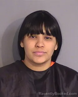 Mugshot of CHELLEMAR CARRASQUILLO-SANTIAGO