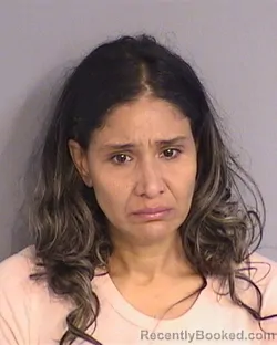 Mugshot of ZHOUR ELASSRI