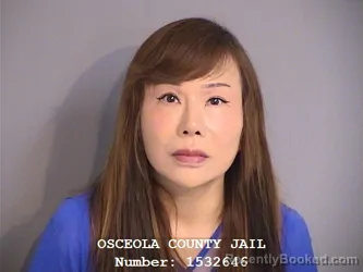 Mugshot of MINGYAN WANG