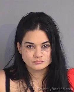 Mugshot of FRANCES IVELISSE VIRELLACOLON booked in Osceola County, Florida on June 27, 2026