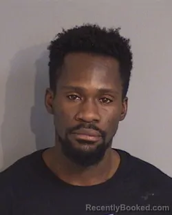 Mugshot of WILLIAMS GILOT